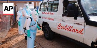The response to the Ebola outbreak is 'not big enough,' expert says