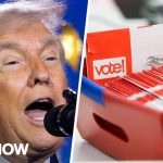 Shocking U-Turn: Elites Admit Election Weaknesses If Trump is so worried about election interference why did he gut the agency built to stop it?