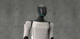 A humanoid robot designed by Tesla standing against a gray background