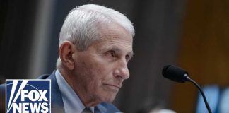 Fifth Amendment Showdown: Fauci vs. Senate Fauci probe ESCALATES as Senate sets contempt vote