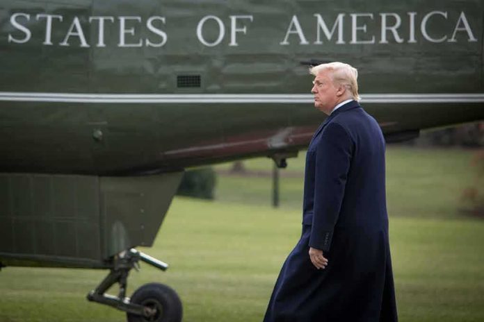 man walking beside a helicopter on a grassy field