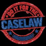 Appeals Court Tips Scale—Shock Twist Coming Case Explained: ÍNARU NADIA DE LA FUENTE DÍAZ; MARU ROSA HERNÁNDEZ; ANDRÉ RODIL; YEIVY VÉLEZ BART...