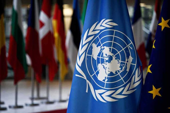 United Nations flag among international flags