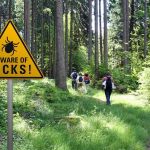 Vacation Lake Turns Rabies Hot Zone Hikers on a forest trail near a triangular tick warning sign
