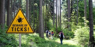 Vacation Lake Turns Rabies Hot Zone Hikers on a forest trail near a triangular tick warning sign