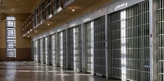 Row of prison cells with metal bars along an empty corridor