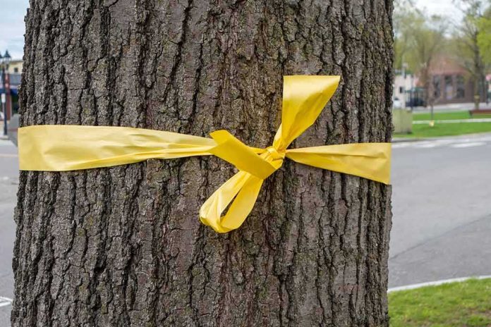 Tree trunk with a yellow ribbon tied around it