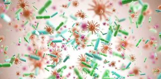Email Cache Upends Pandemic Narrative Colorful microscopic bacteria and viruses floating in space