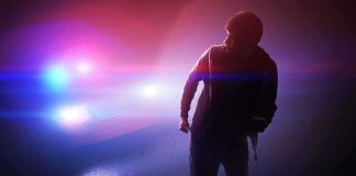 Masked Thugs Ambush Hollywood Star silhouetted person in front of police car with flashing lights